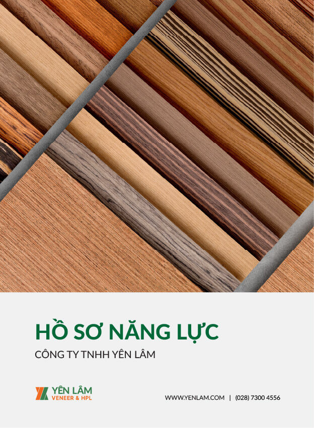 Hồ Sơ Năng Lực