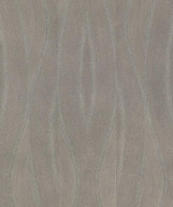 TABU GR.029 Prospettive Sinuose