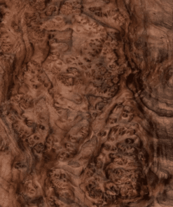 thumbnail venerr nu óc chó (1)