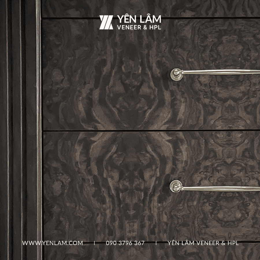 veneer nu óc chó (1)