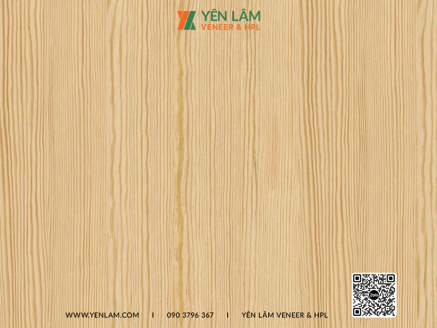 veneer thông vân sọc