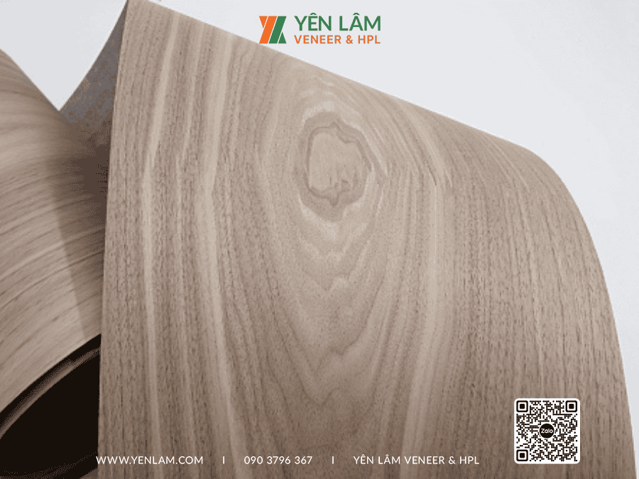 veneer walnut 5